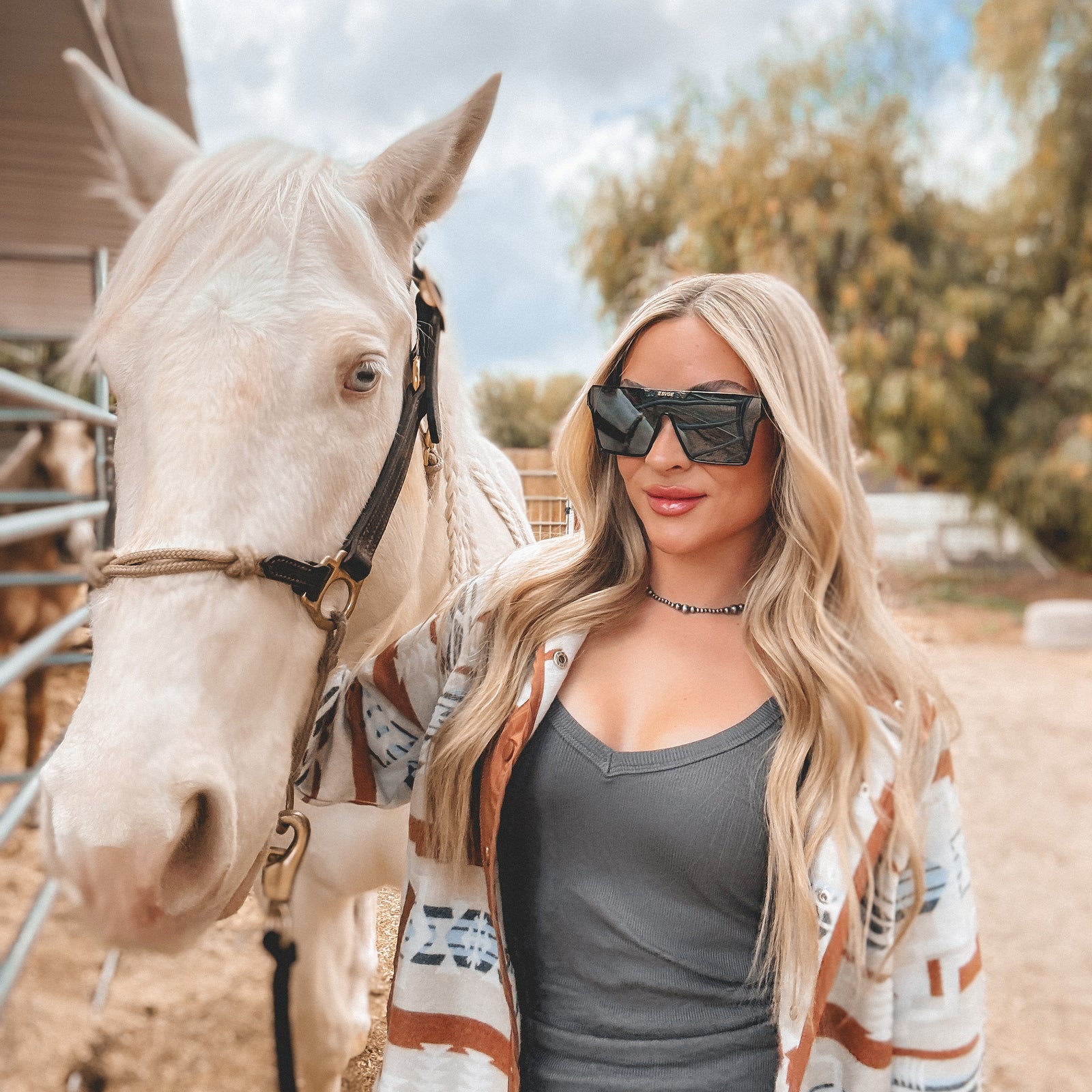 Pledge  II サングラス TWO SVGE | Premium Sunglasses & Eyewear | Icon - PBR